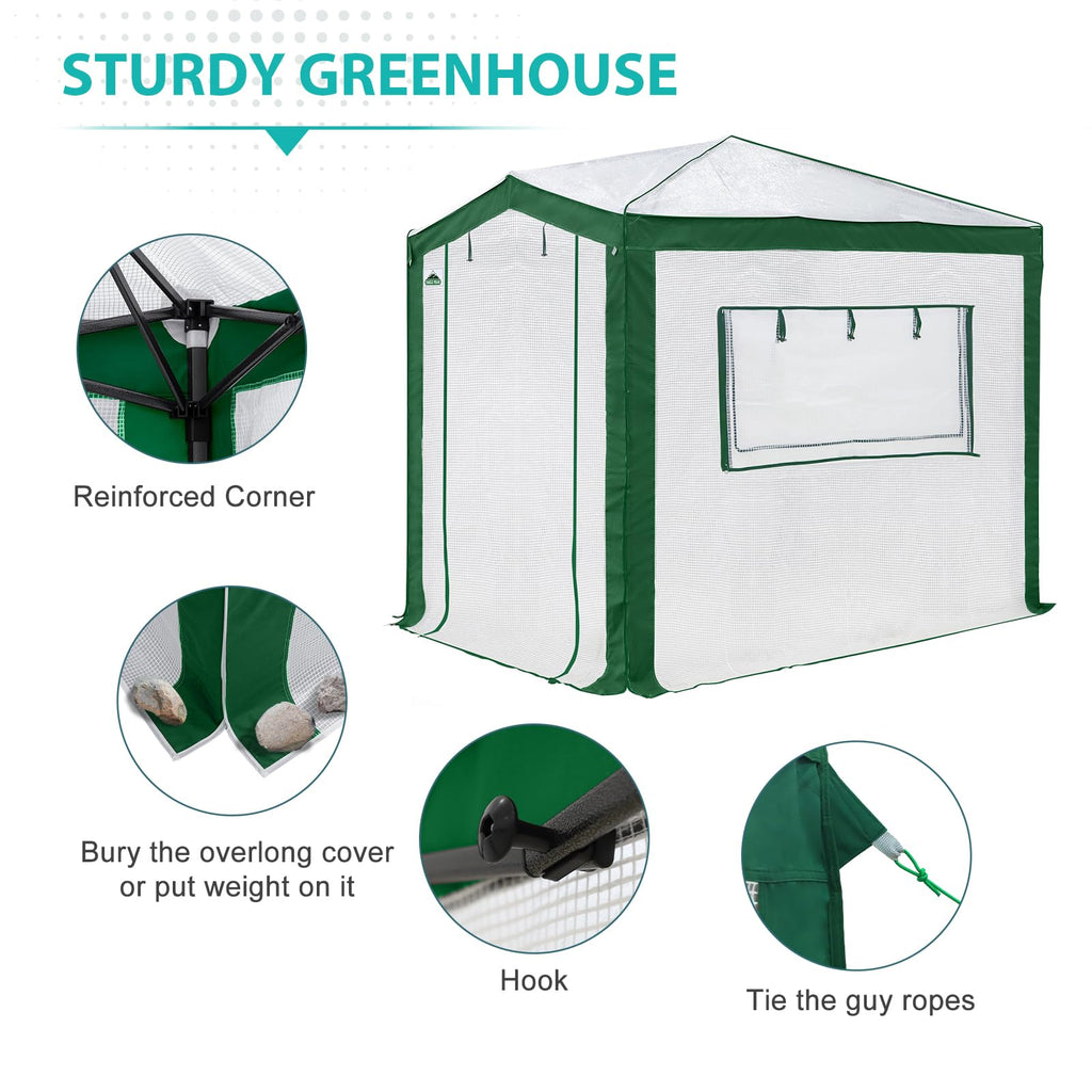 8x6 Walk in Pop Up Greenhouse, Green/White