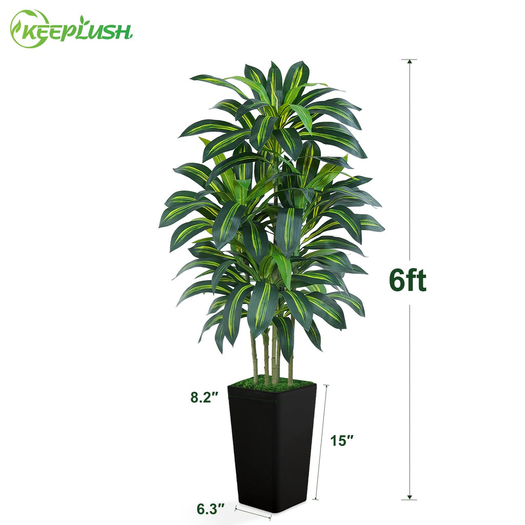 6FT Artificial Dracaena Tree - High-Density Foliage Fake Plant with Black Tall Planter - Faux Yucca Floor Plant Decor