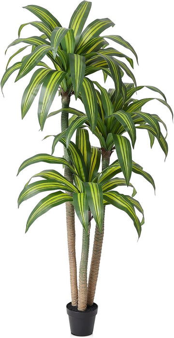6ft Artificial Dracaena Tree with Natural Trunk