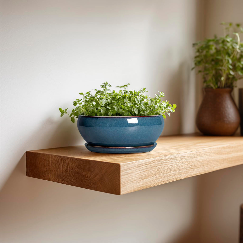 Succulent Pots - 6 Inch Ceramic Bonsai Pots, Shallow Planter with Drainage Hole and Saucer, Modern Round Planter for