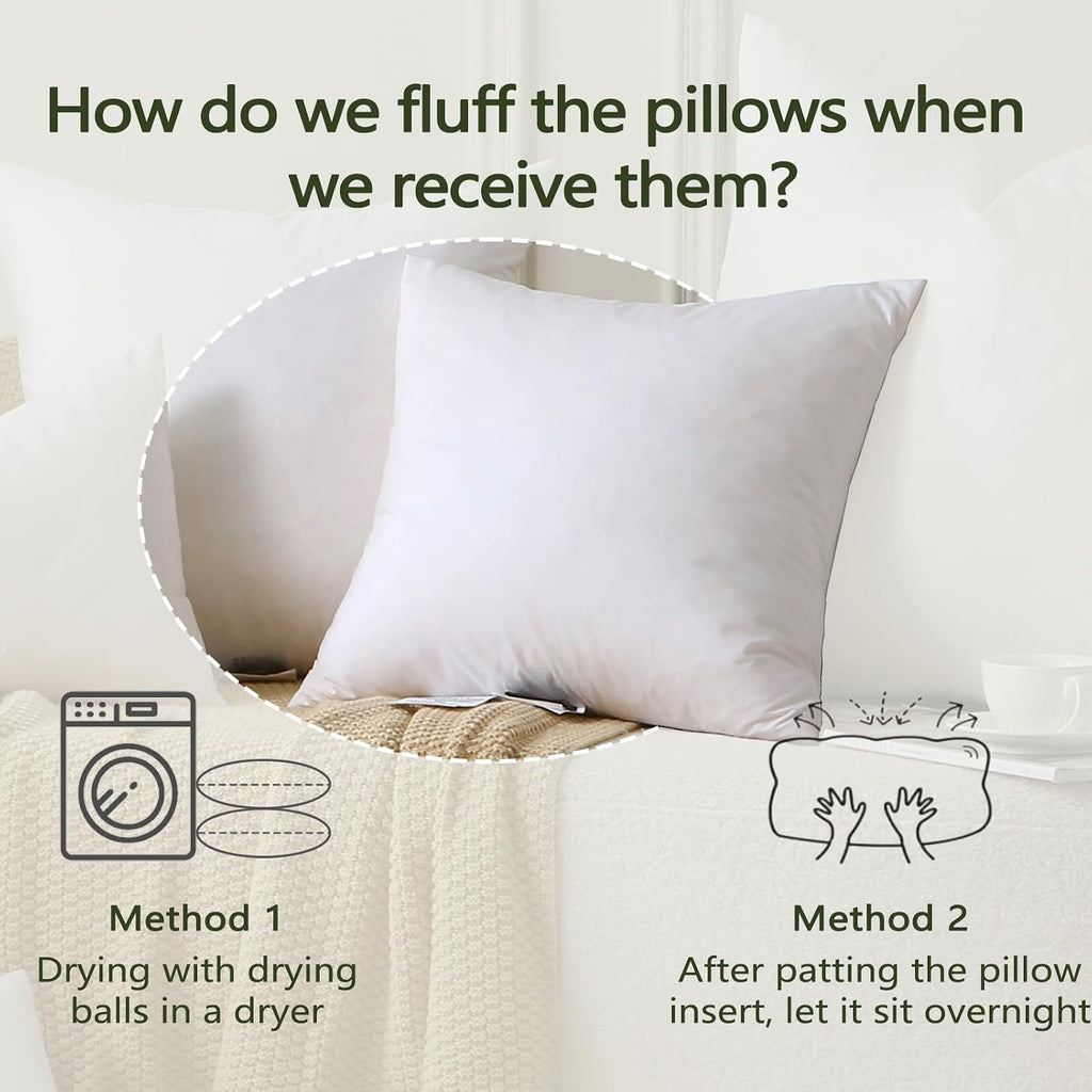 Feather Down Throw Pillow Inserts with Organic Cotton, 20x20 - Set of 2