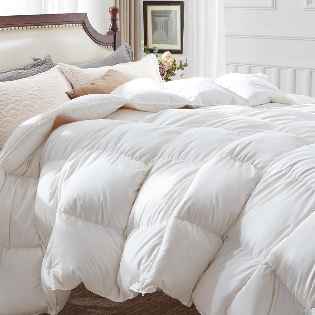 Winter Down Comforter Queen Size, Heavyweight Duvet Insert for Clod Sleepers, Noiseless Soft Shell, with 8 Corner Tabs