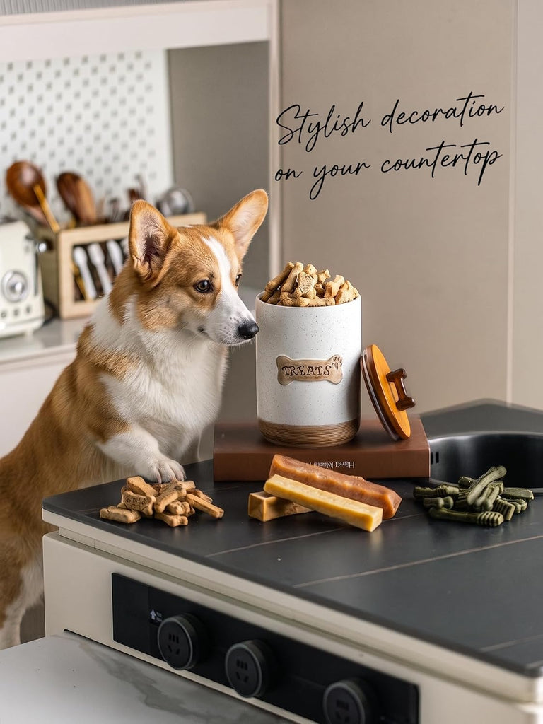 Airtight Dog Treat Jar with Lid, Dog Treat Container for Countertop