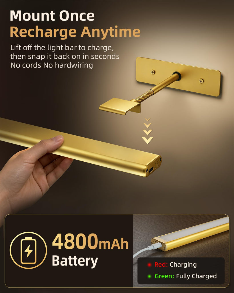Picture Light for Wall, 4800mAh Rechargeable Wireless Remote, 16'' Dimmable Magnetic LED Art Display Light with 3