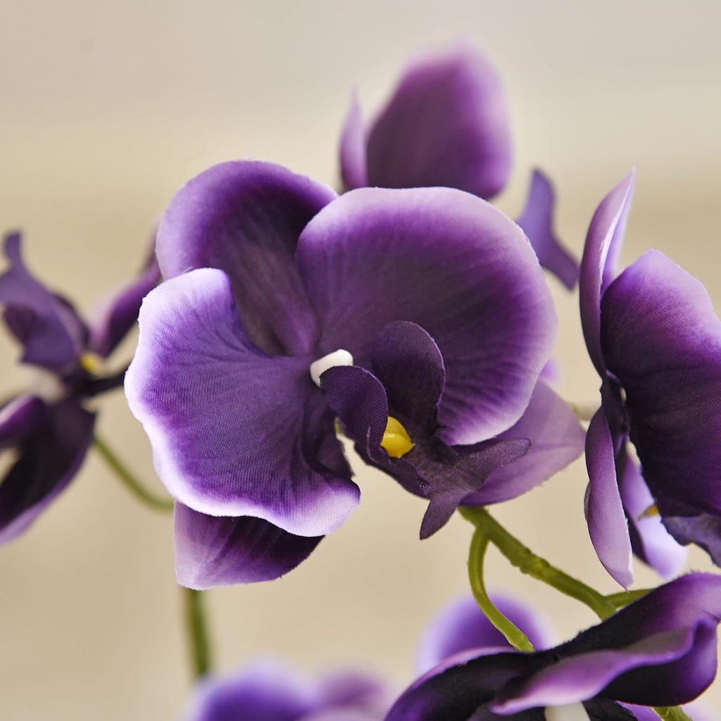 Large Silk Orchid in Wave Pot 19" Phalaenopsis Plant for Table, Deep Purple