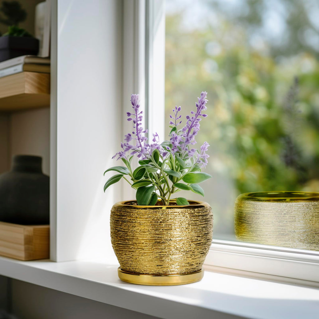 Ceramic Planter - 6 Inch Plant Pot Indoor Outdoor, Modern Round Planter with Drainage Hole and Plant Saucer
