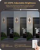 2 Pack LED Outdoor Wall Lights Dimmable, 3000K 4000K 5000K, 15.7" Modern Black Outdoor Wall Sconce, IP65 Waterproof