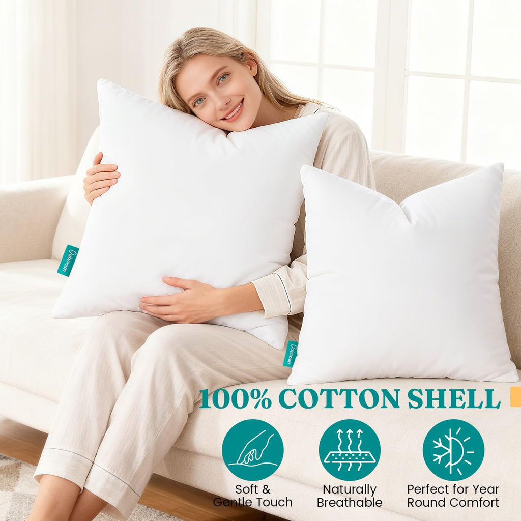 Throw Pillow Inserts, 22x22 - Set of 2