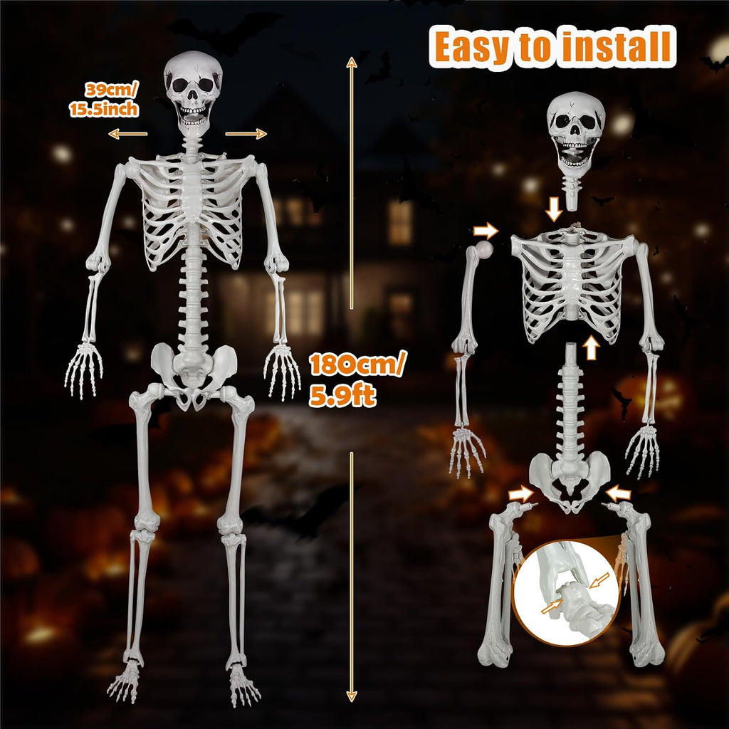 5.9ft/180cm Posable Halloween Skeleton, Life Size Skeleton Bones with Movable Joints for Halloween Graveyard Haunted