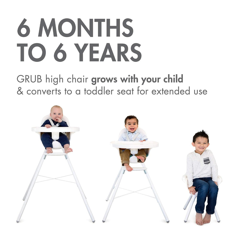 Adjustable Baby High Chair - Convertible High Chair and Toddler Chair - High Chairs for Babies and Toddlers 6 Months