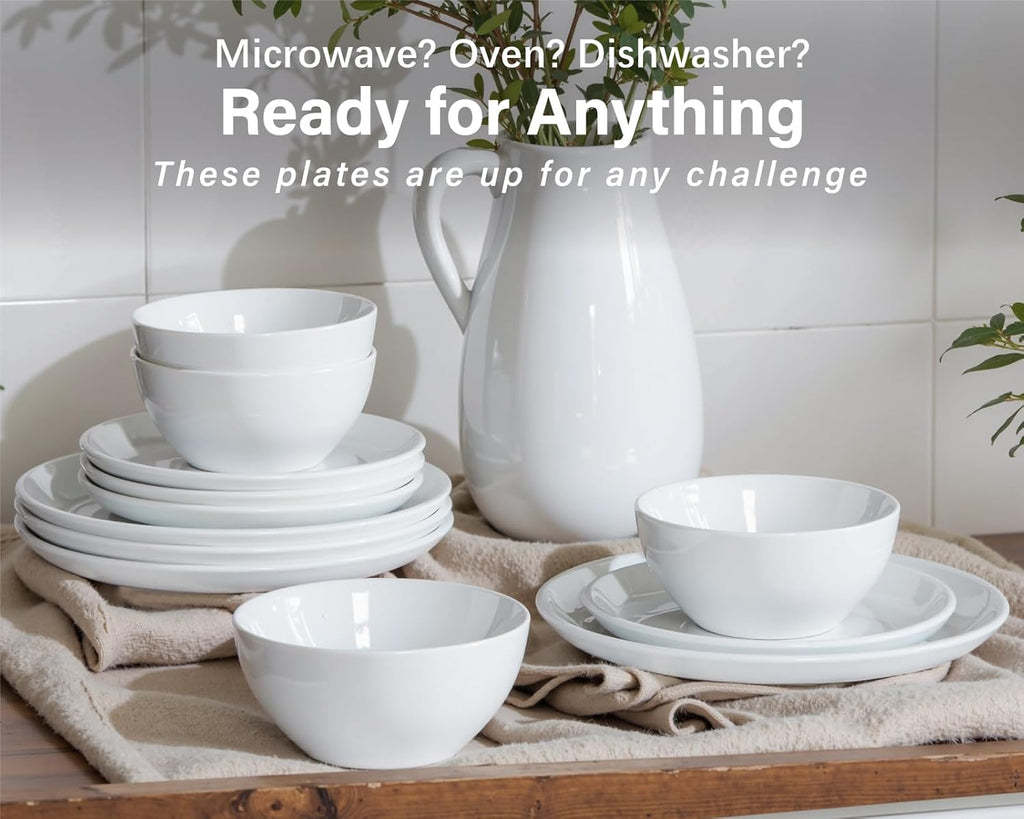 Plates and Bowls Set 12 Pcs,Stoneware Dinnerware Sets for 4 Microwavable,Oven & Dishwasher Safe Porcelain,Scratch