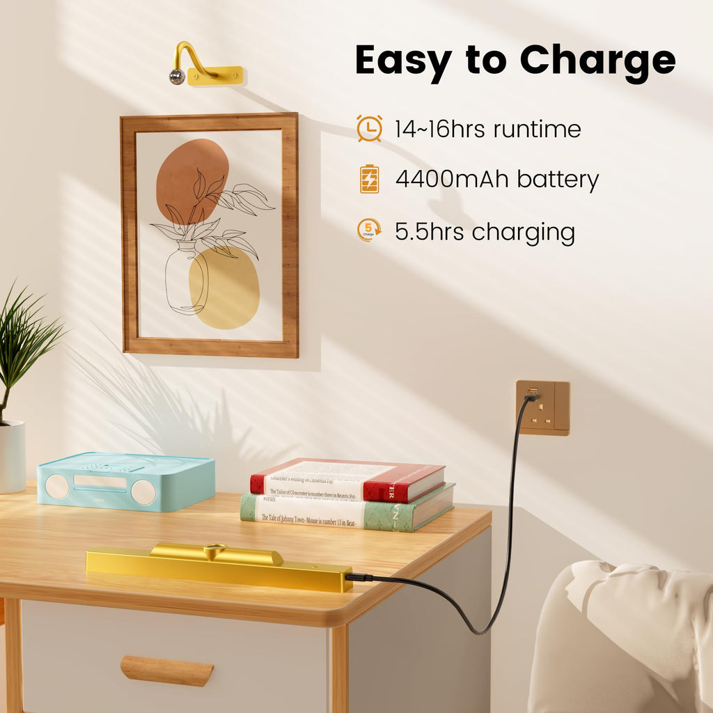 4 Pack Picture Art Above Light Set, 12" Wireless Battery Picture Lighting, Remote Control Timer 3 Color Temps