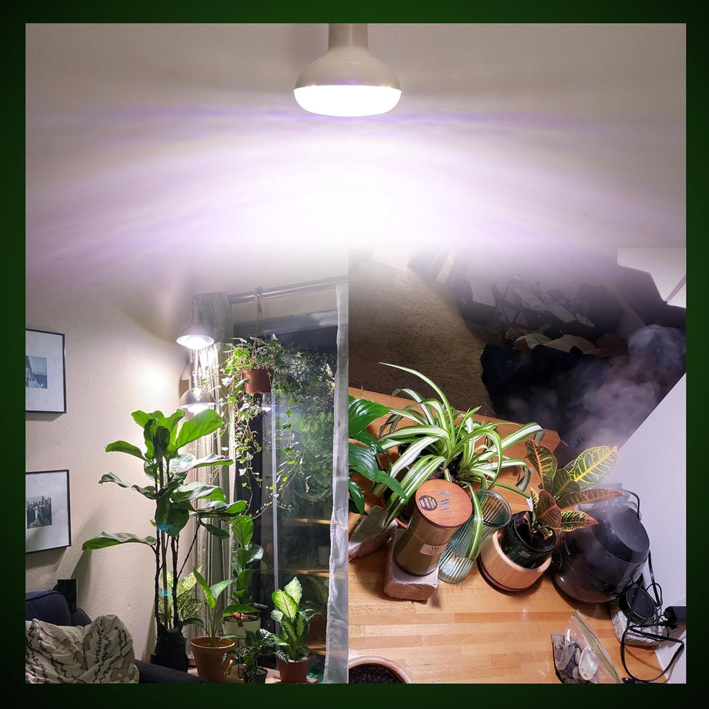LED Grow Light Bulb 15W(150WEquivalent) E26/E27 Base BR30 5000K Red Blue Full Spectrum Plant Light Bulb for Indoor