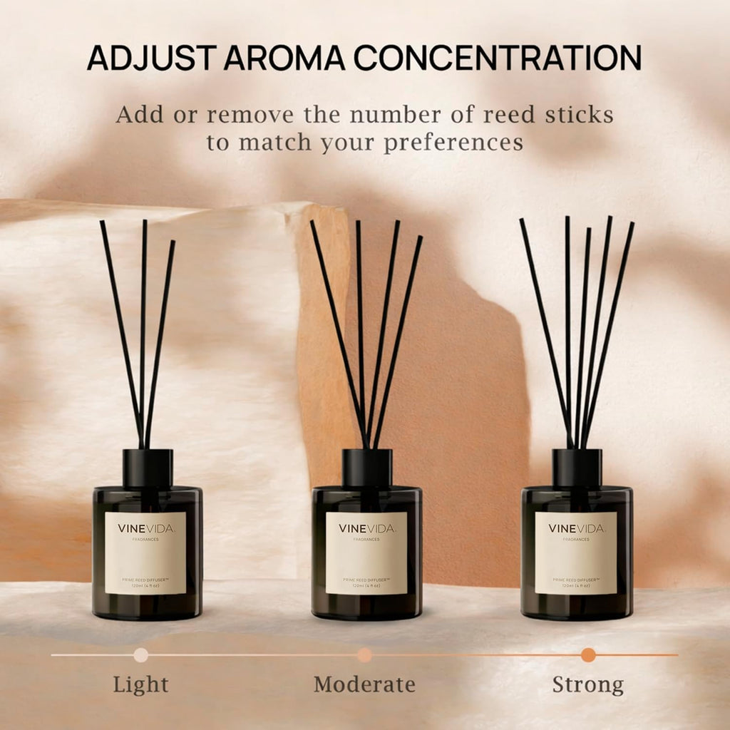 Leather & Brandy | Reed Diffuser | Long-Lasting Scent Sticks Set | Oil Stick Diffuser | Bathroom Scent