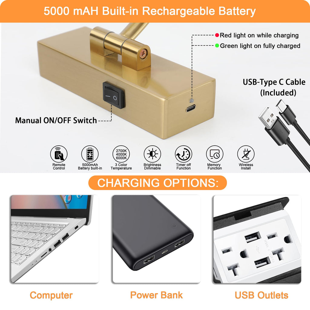 Rechargeable Picture Light with Remote Control,12 Inch Brass Finish Adjustable Wireless Art Lighting Fixture,Painting