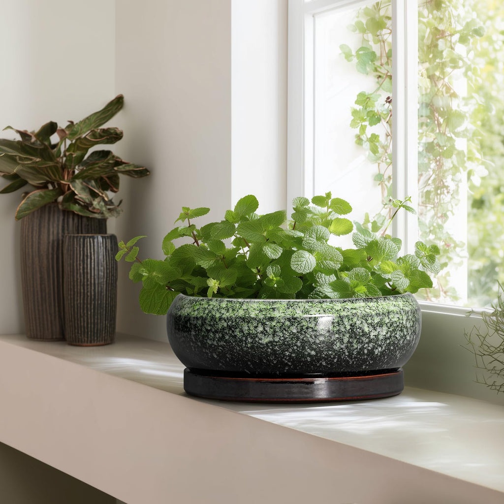 Bonsai Pots - 13 Inch Ceramic Succulent Planters Indoor, Round Shallow Planter with Drainage Hole and Saucer, Large