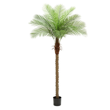 7ft Artificial Phoenix Palm Tree, Tall Faux Palm Plant with 15 Adjustable Leaves, Perfect for Outside Patio