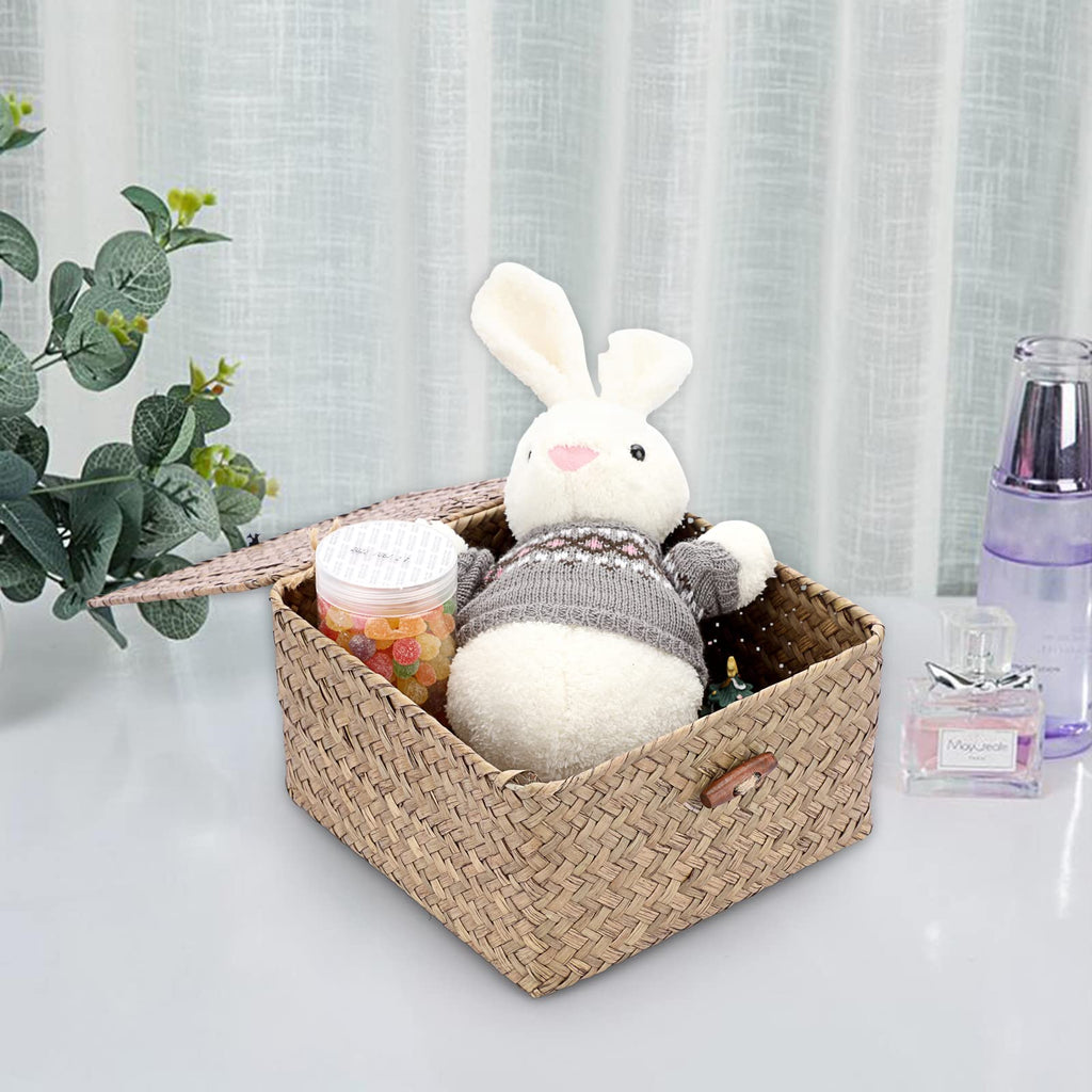 Small Wicker Shelf Baskets Handwoven Seagrass Storage Bin with Lid