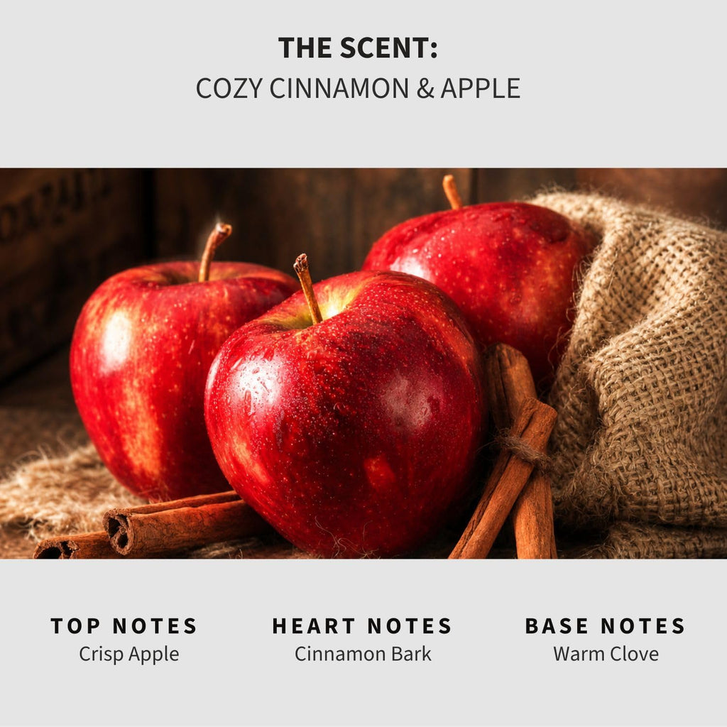 Room & Linen Spray | Fragrance Mist, Car & Office | Fabric & Air Freshener | Neutralizing Mist | Made in USA | Cozy - Set of 8