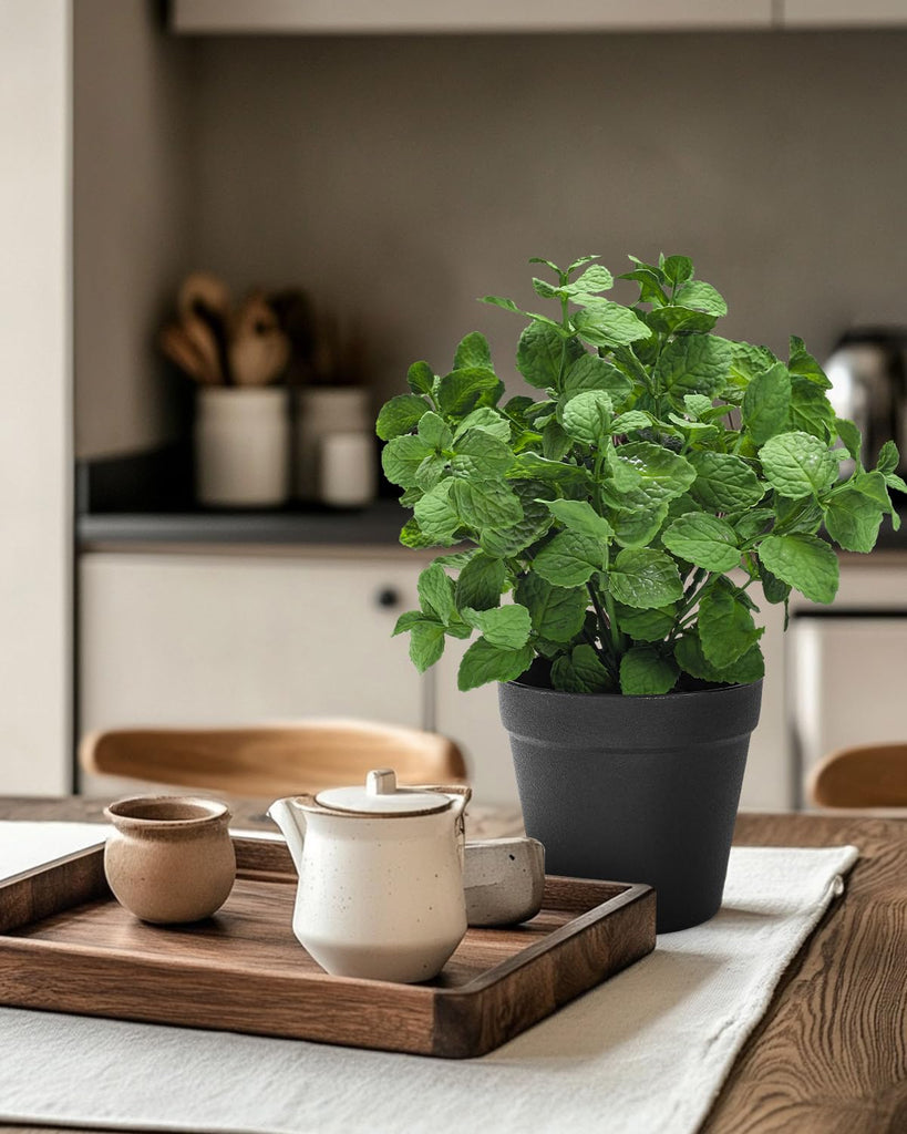 Small Fake Plants Mint Artificial Potted | Casa Home Living