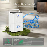 Energy Star Certified Dehumidifier for Home and Basement, Portable Dehumidifier with Drain Hose and Water Tank