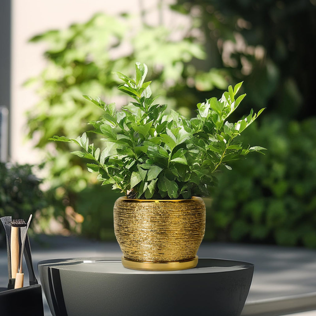 Ceramic Planter - 6 Inch Plant Pot Indoor Outdoor, Modern Round Planter with Drainage Hole and Plant Saucer