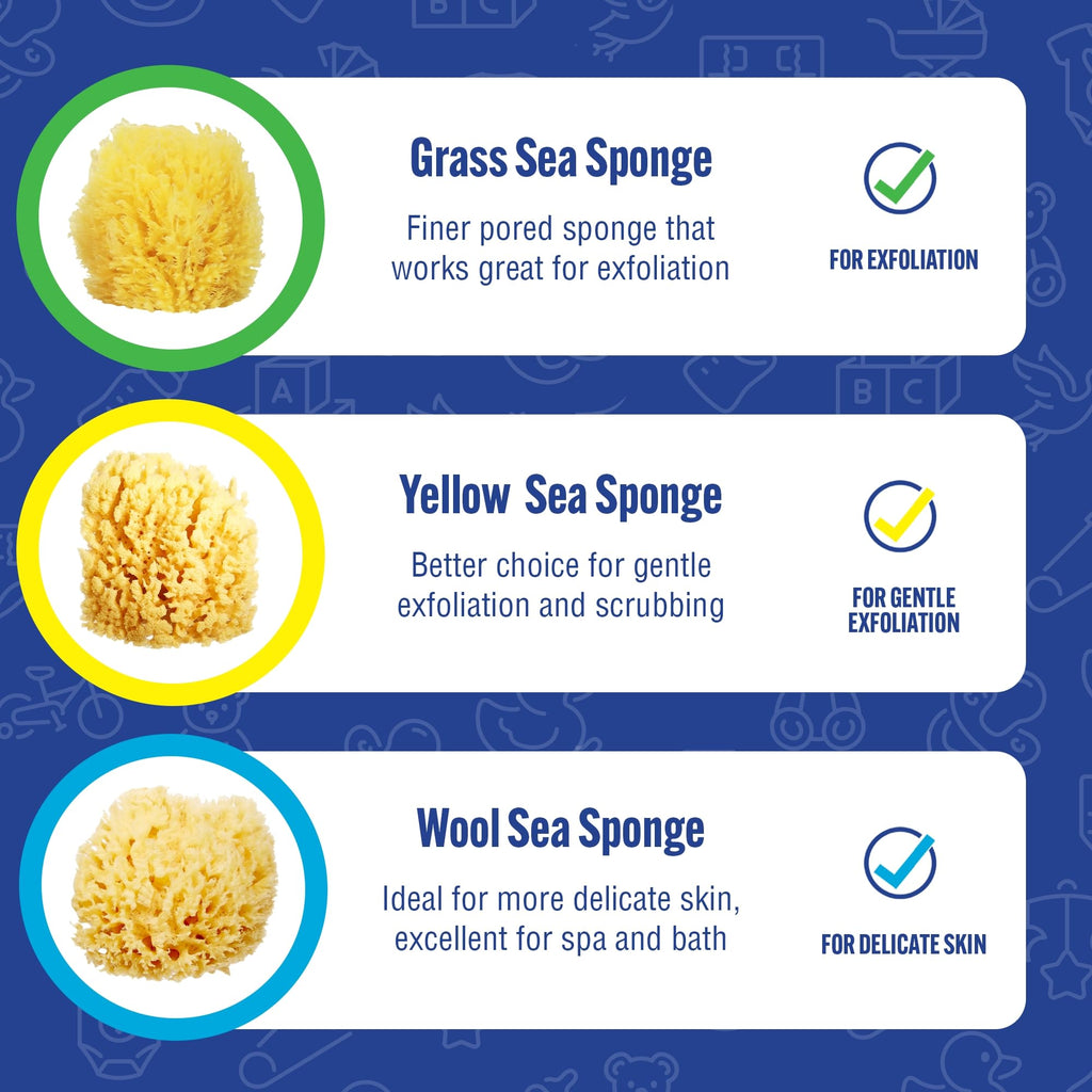 Buddy Natural Baby Bath Sponge 4in Soft Grass Sea Sponge, Soft on Baby's Tender Skin, Biodegradable, Hypoallergenic