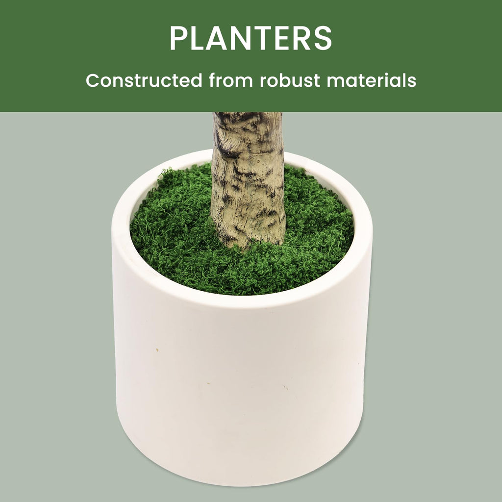 Faux Olive Tree 4ft Tall 2Pack with White Planter Decor