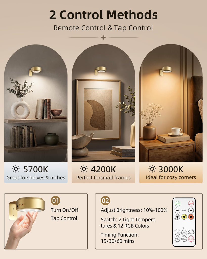 Picture Lights for Wall, Rechargeable Magnetic with Remote (Gold-6P)