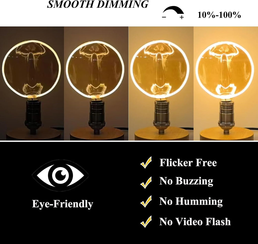 Decorative Light Bulbs E26 Base LED Large Edison Bulbs Oversized
