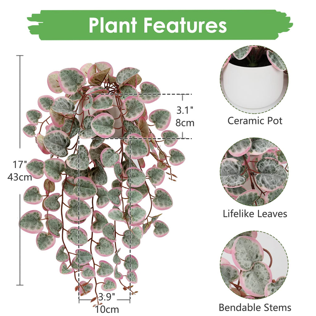 Pink Fake Variegated String of Hearts Plant in White Ceramic Pot