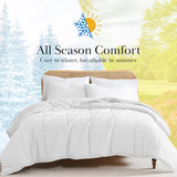 Southshore Fine Living, Inc. White Comforter, Queen/Full Down Alternative Comforter/Duvet Insert, Queen/Full
