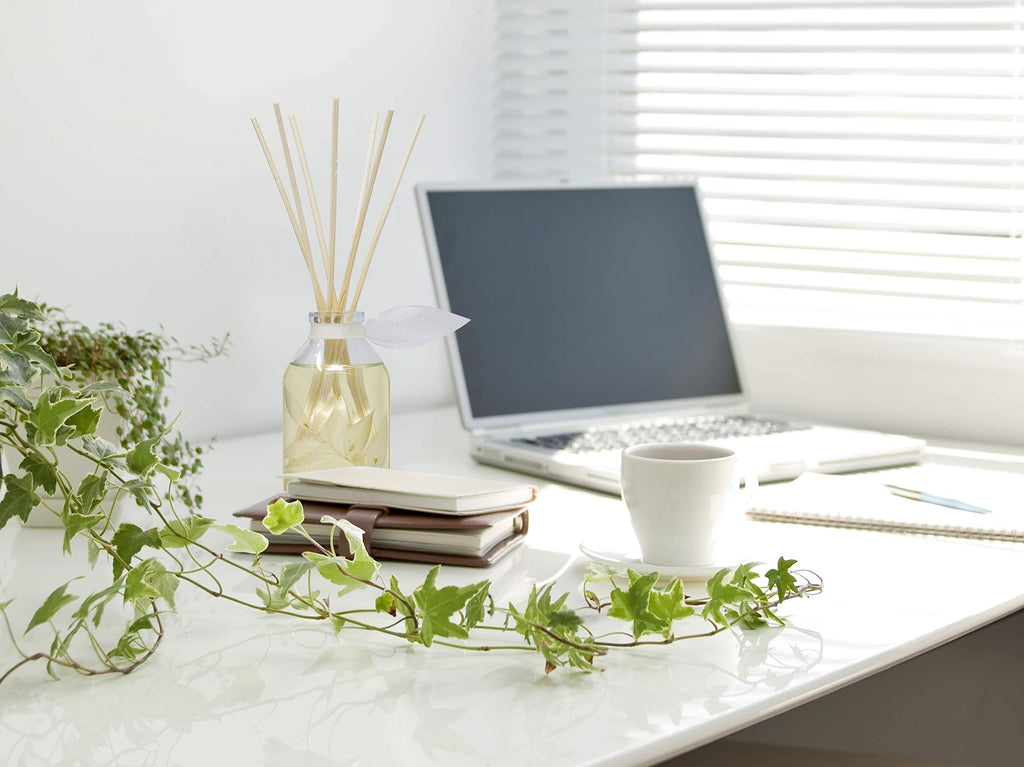 Reed Diffuser Set - Coconut & Eucalyptus Scented Diffuser with Sticks