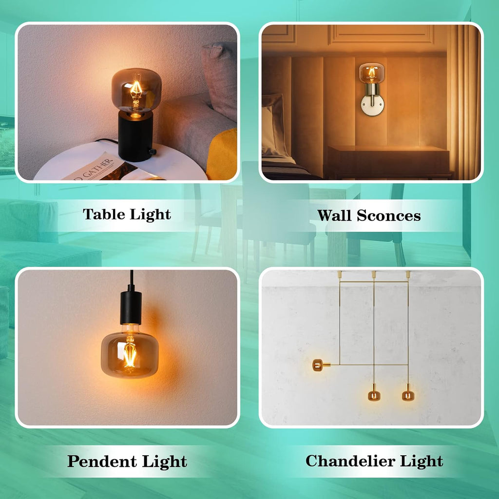 Large Edison Bulbs E26 LED,Smoky Grey 2200K Dimmable 20W Vintage 1PK