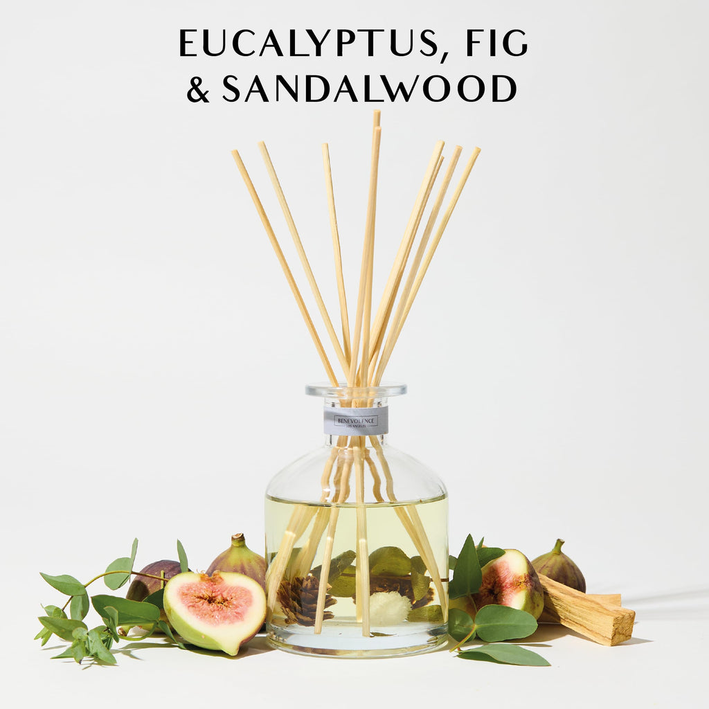 Pacific Driftwood Reed Diffuser | Eucalyptus, Fig & Sandalwood | Home Fragrance Diffuser | Long-Lasting Scent Sticks