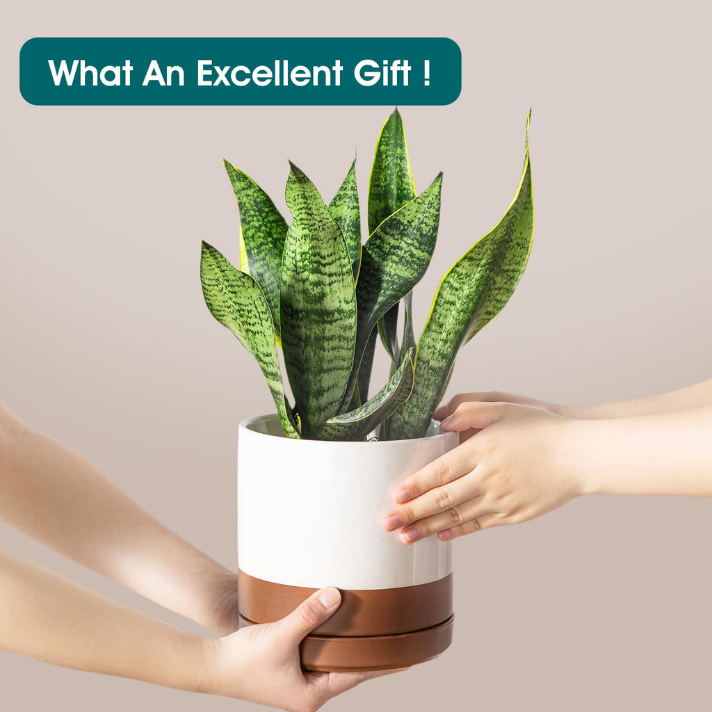 Ceramic Pots for Plants, Plant Pots for Indoor Plants, 6.25+8.25+10.25 Inch Ceramic Planters, Flower Pots with