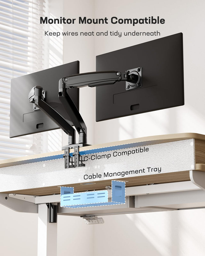48 x 30 inch Electric Standing Desk with 2 Wood Drawers, Adjustable Height Sit Stand Desk, Ergonomic Stand up Desk