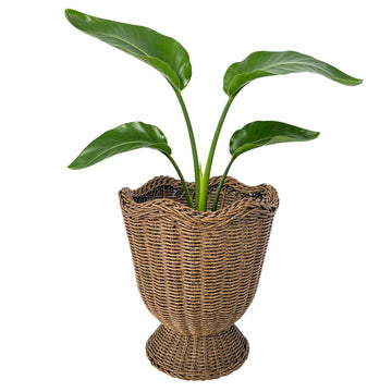 Rattan Planter, Woven Planter Basket for Plants Indoor Outdoor, Decorative Plant Holder Basket for Garden Patio Boho