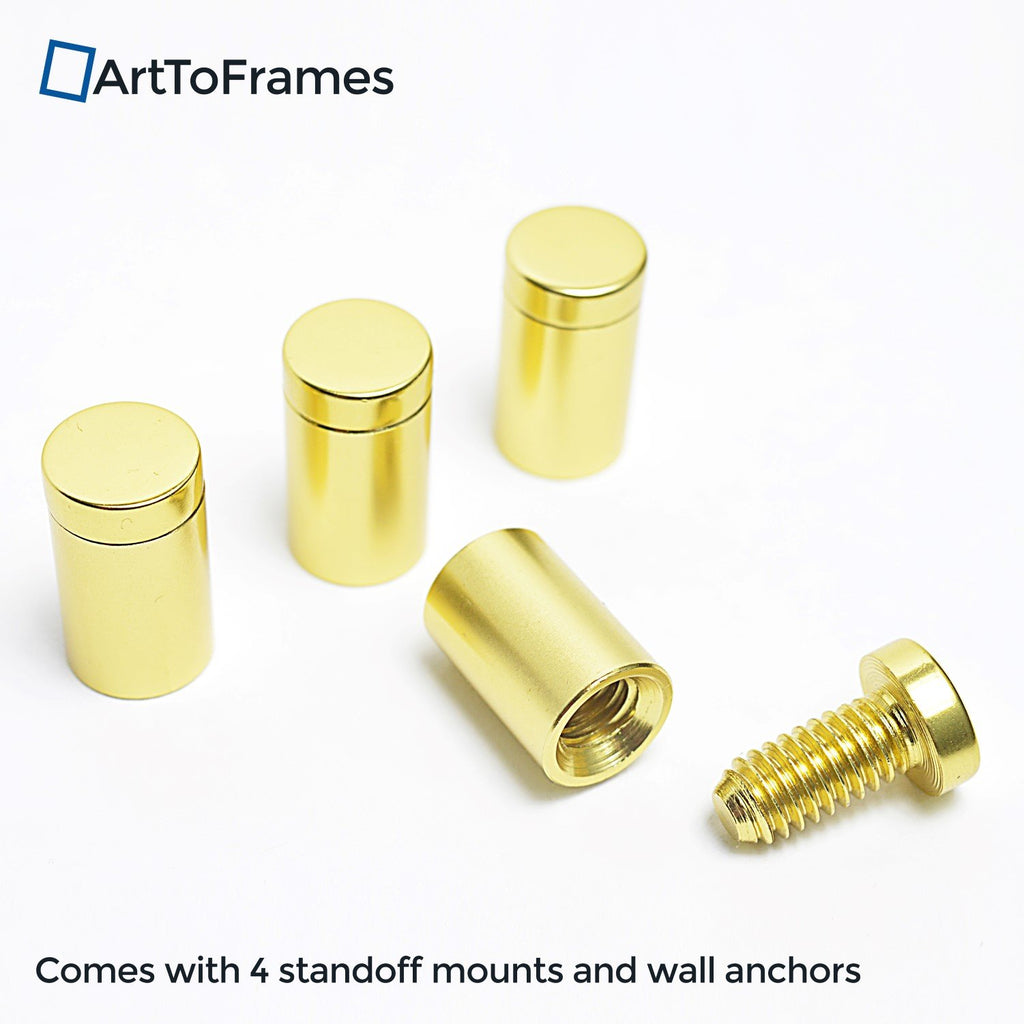 Floating Frame for Pictures Up To 12x24 inches (Full Frame is 16x28) with 19x25mm Brushed Gold Acrylic Standoff