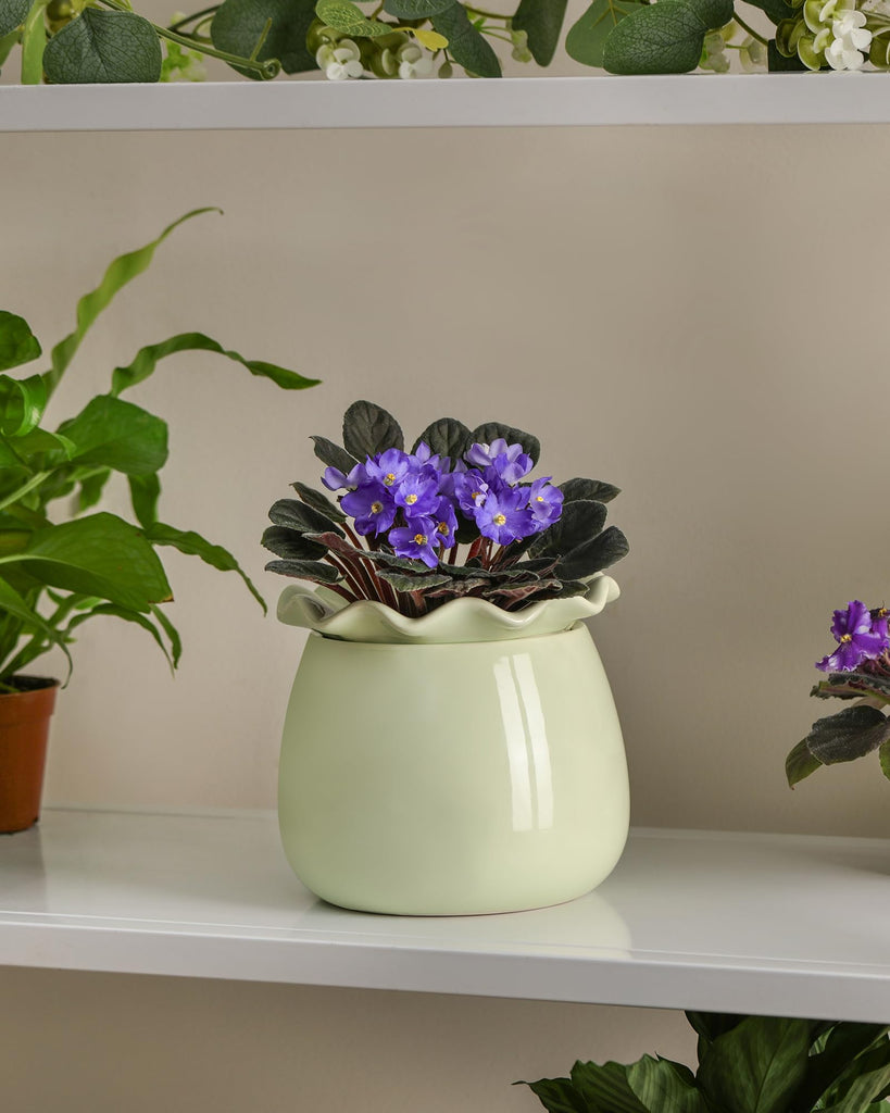 Self Watering Plant Pot, 6 Inch African Violet Pots Maintenance, Ceramic Self-Watering Planter for Indoor Plants