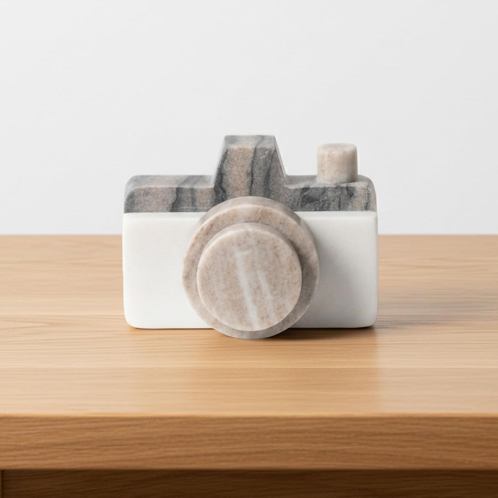 5-Inch Multi Marble Camera Decorative Object