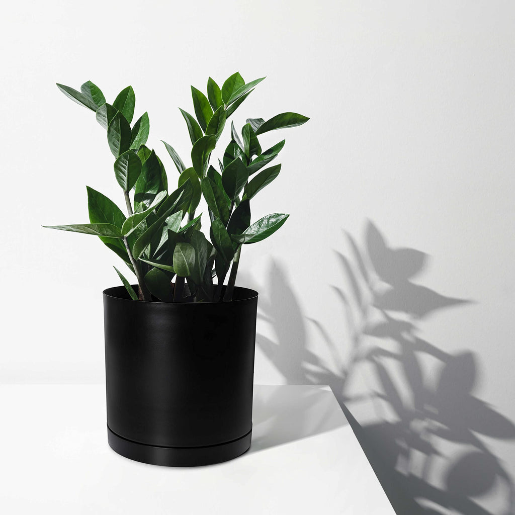Black Modern Flower Pot with Round Saucer - Fits Mid-Century Modern Plant Stand - 8 Inch Planter - Matte Black Powder