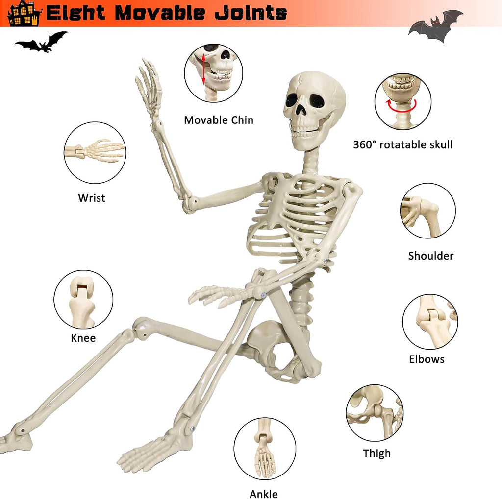 24"Halloween Skeleton - 2 ft Life Size Human Skeleton with Full Body Posable Joints Plastic Skeleton - Set of 2