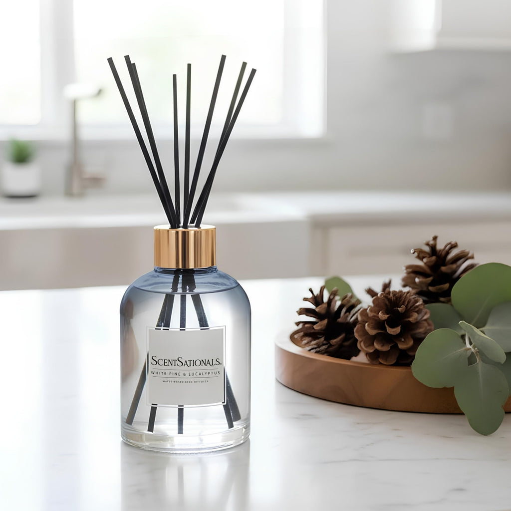 White Pine & Eucalyptus Water-Based Reed Diffuser - 5 FL OZ
