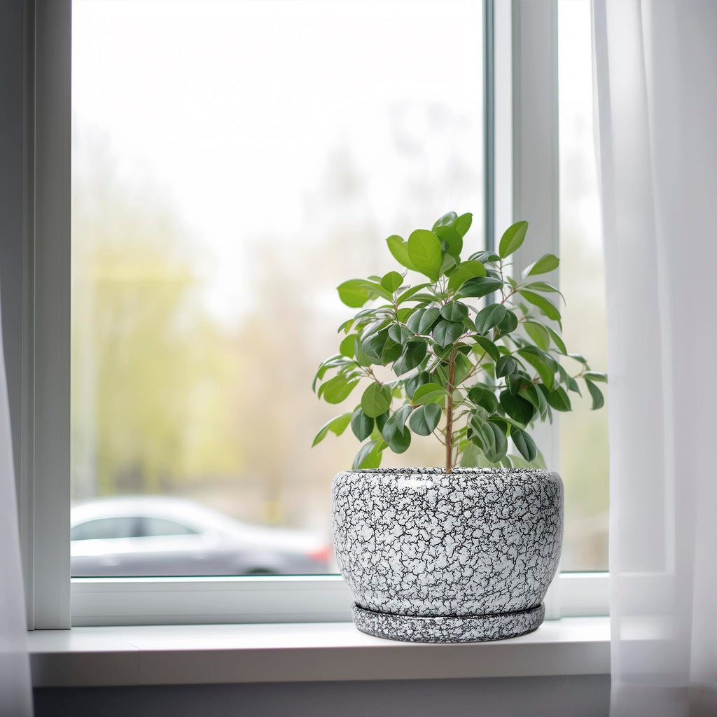 8 inch Plant Pot - Ceramic Planter with Drainage Hole and Saucer, Round Flower Pot for Indoor Plants, Decorative