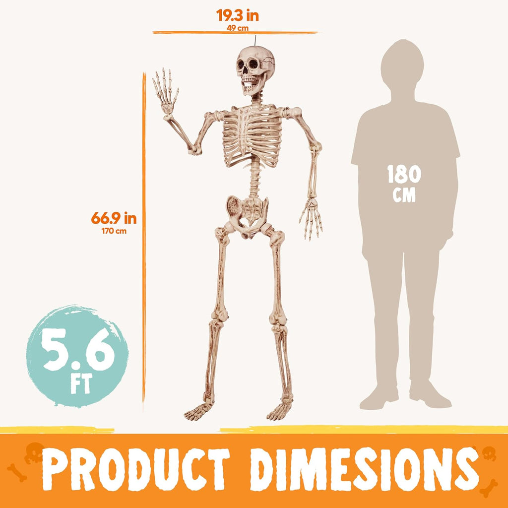 5.6 FT Halloween Posable Life Size Skeleton, Full Body Realistic Bones with Movable Joints, Giant Skeletons Halloween