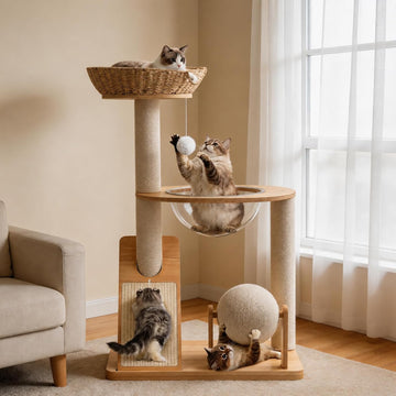 Modern Wooden Cat Tree for Indoor Cats, Furniture Style Cat Tower with Handwoven Basket and Soft Cushion, Acrylic