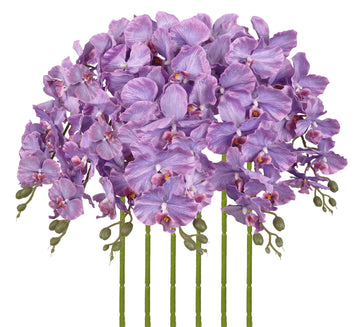 38" Artificial Phalaenopsis Flowers 6PCS Purple Orchids Artificial Orchid Flowers Stem for Wedding Party Office Home