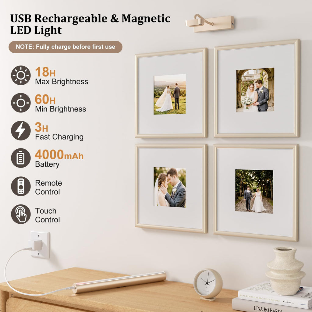 Picture Light for Wall, 4000mAh, 13.8 Inch, 2 Pack, Mocha Gold