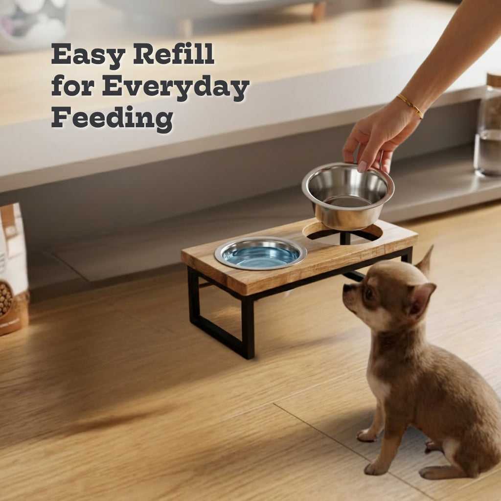 Elevated Dog Bowls, 4" Small Dogs & Cats Raised Bowl Mango Wood Stand, Food & Water 2 Stainless Steel Dishes Each